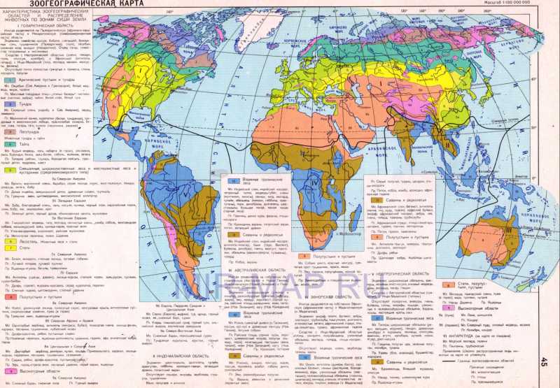 Как сделать географическую карту